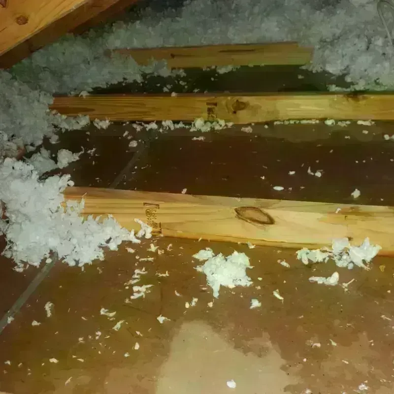 Attic Water Damage in Assonet, MA